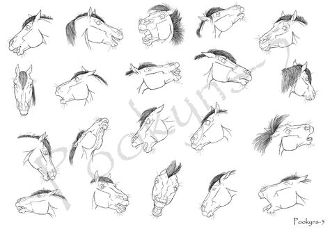 Horse expressions by pookyhorse Horse Expressions, Horse Face Drawing, Value Sketches, Value Shading, Draw Horse, Tattoo Portfolio Ideas, Model Sheets Character, Drawing Horse, Facial Expressions Drawing