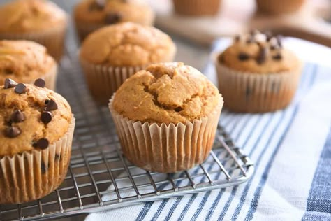 Sourdough Pumpkin Muffins {a.k.a. The Best Muffins On The Planet} Banana Bread Chocolate Chip Muffins, Sourdough Pumpkin Muffins, Banana Bread Chocolate Chip, The Best Muffins, Banana Bread Chocolate, Best Muffins, Sourdough Pumpkin, Slow Cooker Applesauce, Sourdough Muffins