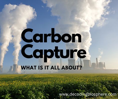 Carbon Capture: What is it all About? Carbon Capture, Biology Resources, Carbon Sink, Energy Resources, Sustainable Future, Carbon Dioxide, Modular System, Photosynthesis, Environmental Art