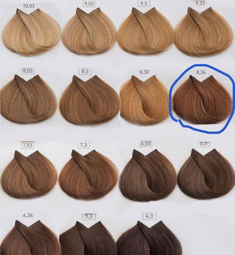 Jahodová Blond, Loreal Hair Color, Kort Bob, Summer Hair Highlights For Brunettes, Brown Hair Shades, Honey Brown Hair, Highlights For Brunettes, Summer Hair Highlights, Ginger Hair Color