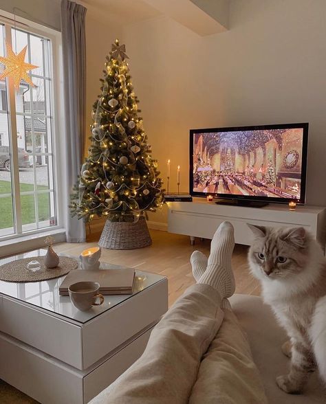 Christmas Dreaming, Cozy Christmas Decor, Christmas Feeling, Christmas Living Rooms, Christmas Inspo, Christmas Mood, Cat Sitting, Christmas Love, Christmas Aesthetic