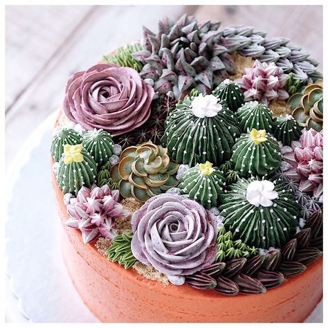 Repost ivenoven    Terrarium in the clay pot. It's buttercream cake anyway Terrarium Cake, Cactus Cakes, Succulent Cakes, Mousse Au Chocolat Torte, Succulent Cupcakes, Succulent Cake, Cactus Cake, Pear Cake, Buttercream Flowers