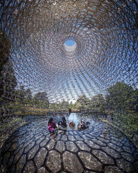 Time Out London on Instagram: “Inside the incredible hive at Kew Gardens 🐝 [Picture: @cosplore]” Kew Gardens London, Day In London, Beautiful Sunny Day, Sci Fi Environment, Beautiful London, London Pictures, The Hive, Garden Pictures, Kew Gardens