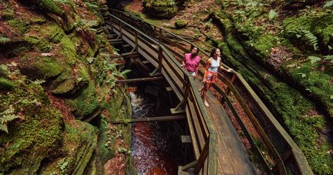 Witches Gulch, Wisconsin Waterfalls, Wisconsin Winter, Wisconsin State Parks, Wisconsin Camping, Travel Wisconsin, Waterfall Trail, Park Forest, Road Trip Routes