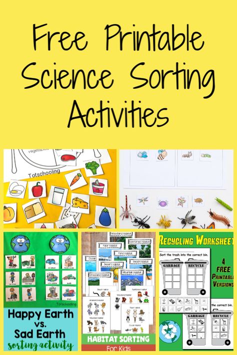 The Activity Mom - Free Printable Sorting Activities - The Activity Mom Science Center Preschool Free Printables, Life Skills Kindergarten Activities, Free Printable File Folder Activities, Teacch Activities Free Printable, Free Printable Books For Preschoolers, File Folder Activities Free Printables, Life Skills Activities For Kids, Kindergarten Sorting Activities, Science Sorting Activities