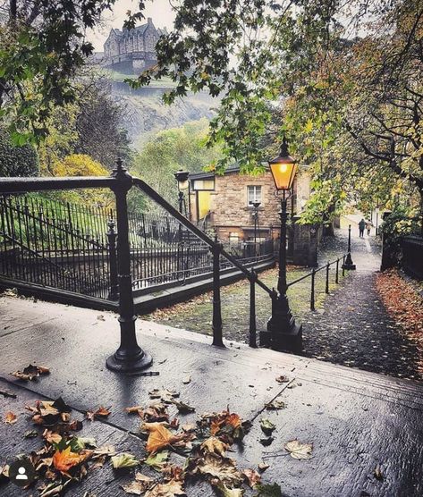 InstaBritain on Instagram: “Can you spot Edinburgh Castle tucked away at the top? I imagine this walk was t quite so inviting in the Victorian times 👀 . 📸 Edinburgh,…” Edinburgh Scotland Aesthetic, Edinburgh Aesthetic, Scotland Aesthetic, Castles In Scotland, Edinburgh Castle, Edinburgh Scotland, Autumn Aesthetic, Best Places To Travel, Autumn Photography