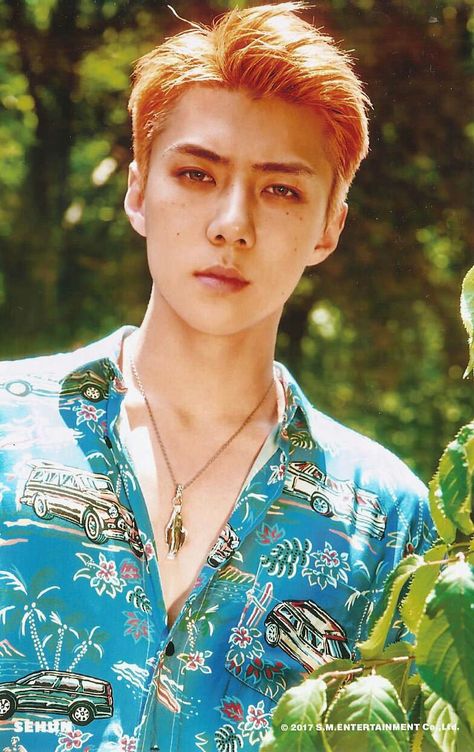 #EXO #SEHUN "KoKoBop" SD Card Ver.B Exo Kokobop, Ko Ko Bop, Baekhyun Chanyeol, Hyun A, E Dawn, Kim Junmyeon, Exo Sehun, Exo Members, Oh Sehun