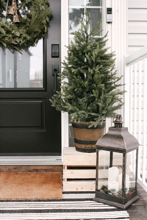 Christmas Tree On Front Porch, Porch Xmas Tree, Front Porch Christmas Tree, Christmas Decoration Ideas For Home, Christmas Doorway, Ideas Christmas Decoration, Front Porch Ideas For Christmas, Christmas Front Porch Decor, Decoration Ideas Christmas