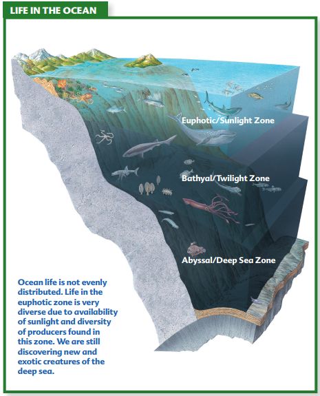 http://education.nationalgeographic.com/media/file/one-ocean-chapter3.pdf Ocean Levels, Ocean Zones, Indian History Facts, Ocean Depth, Earth Pictures, Nature Ocean, Marine Environment, Surface Water, Indian History