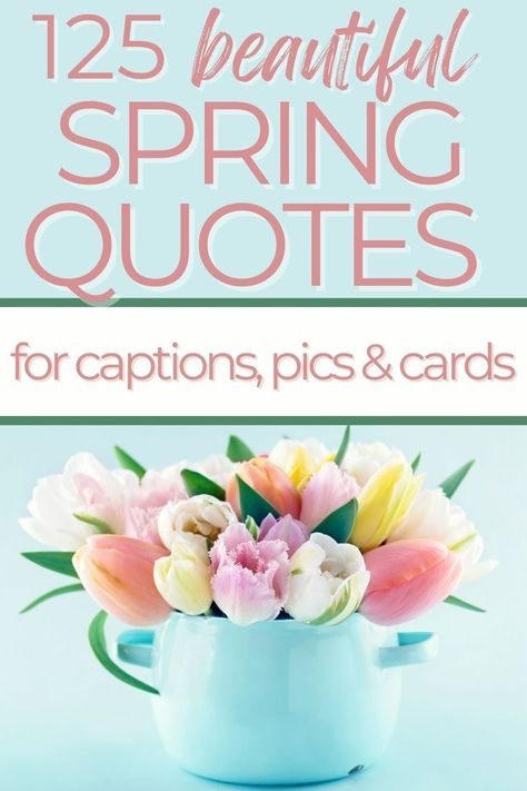 There’s just something special about the air in the springtime, and what better way to celebrate than with a collection of 125+ spring quotes? Whether you’re looking for some motivation to get moving or just want to take a moment to enjoy the season, these quotes are perfect for captions, picture, or cards and are sure to make you smile! #EasterCelebrations #EasterFashion #EasterFood #EasterDecor #EasterBrunch #EasterBaskets #Springtime #PastelColors #BunnyLove Spring Season Quotes, Quotes For Captions, Hello Spring Quotes, Springtime Quotes, Spring Message, Flower Quotes Inspirational, Spring Poem, April Quotes, Air Quotes