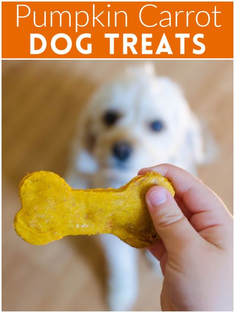 Pumpkin Carrot Dog Treats - homemade dog treats made with pumpkin puree and shredded carrots. Your pup is going to love these! Pumpkin Apple Dog Treats, Carrot Dog Treats, Apple Dog Treats, Dog Treats Homemade Pumpkin, Carrot Dogs, Pet Treats Recipes, Easy Dog Treat Recipes, Make Dog Food, Dog Biscuits Homemade