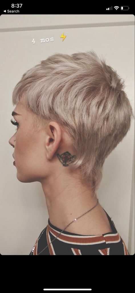 Short Choppy Hair With Bangs, Short Choppy Hairstyle Women, Short Hair Edgy, Shortish Hair, Short Punk Hair, Pixie Mullet, Growing Out Hair, Short Choppy Haircuts, Buzzed Hair