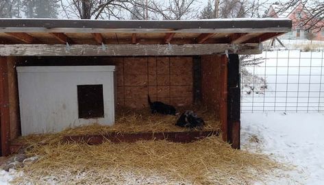 DIY Cold Weather Dog House: Keep Your Dog Warm in Winter | Top Dog Tips Outside Dog Shelter, Sled Dog House, Insulating Dog House Winter, Diy Outdoor Dog House Winter, Outdoor Dog Area Winter, Winter Dog House Cold Weather, Backyard Additions, Dog Pen Outdoor, Winter Dog House