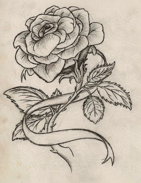 get 2 of these w/ the ribbons intertwining together to make a heart. "hailey" in 1 ribbon, "austin" in the other Thorn Tattoo, Rose Drawing Tattoo, Ribbon Tattoos, Tattoo Rose, Rose Tattoo Design, Rose Drawing, Roses Drawing, Best Tattoo Designs, Tattoo Life