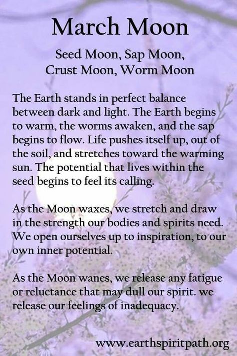 March Moon (Seed, Sap, Crust, Worm Moon) March Moon, Worm Moon, Full Moon Names, Moon Madness, Moon Meaning, Lunar Magic, Moon Names, Moon Spells, Connection To Nature