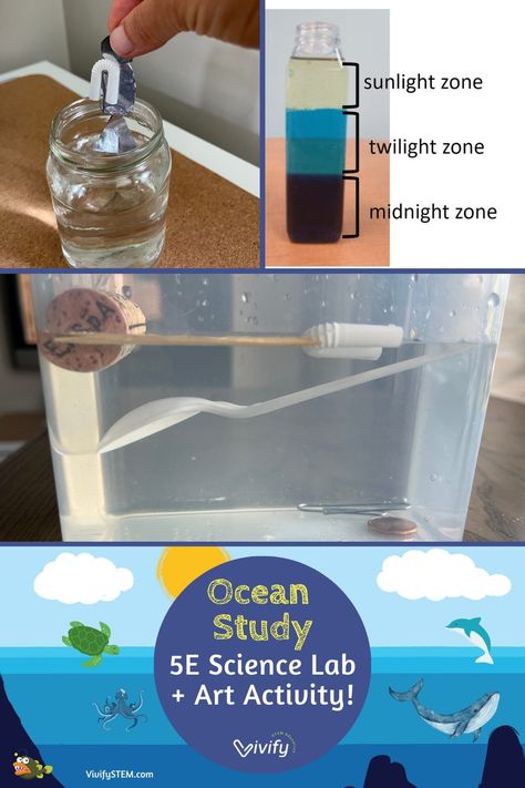 5, 4, 3, 2, 1! There are 5 oceans 4 (for) our students to explore in these 3 fun ocean activities consisting of 2 science experiments and 1 art project. First, we provide an overview of a famous oceanographer, outline a 5E Ocean Science unit, and provide instructions on a fun ocean zones in a bottle activity! Let’s dive in! Ocean Stem Activities, Seabin Project, Ocean Science Experiments, Ocean Science Activities, Ocean Education, Ocean Lesson Plans, Ocean Zones, Homeschool Stem, Ocean Theme Preschool