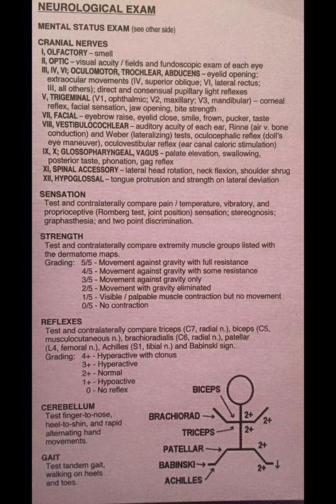 Neuro Exam, Exam Notes, Nclex Review, Nursing Assessment, Nursing Exam, Cranial Nerves, Acute Care, Medical Art, Internal Medicine