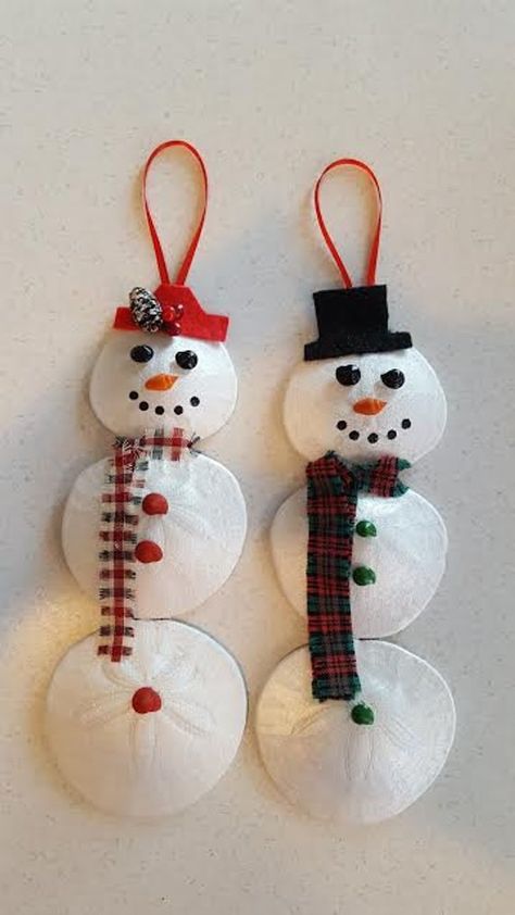 Sanddollar Crafts, Store Ornaments, Sand Dollar Craft, Ornaments Diy Christmas, Snowmen Crafts, Sand Dollar Ornament, Seashell Christmas Ornaments, Seashell Christmas, Shell Painting