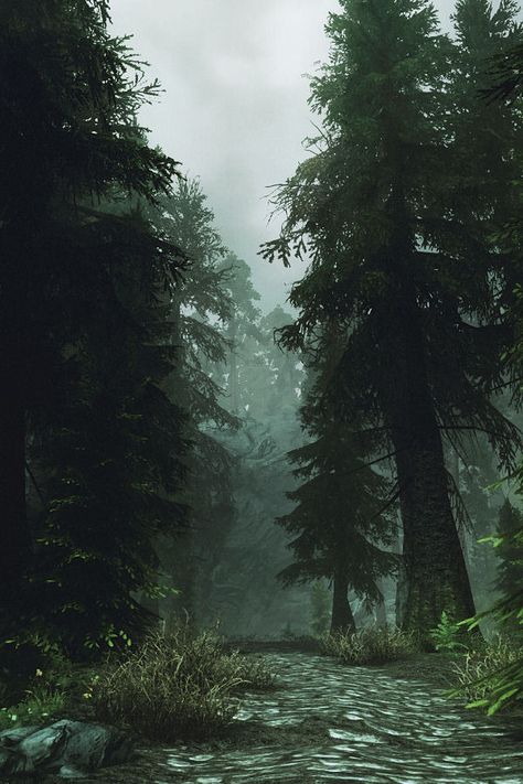 Skyrim Wallpaper, Skyrim Game, Skyrim Art, Elder Scrolls Art, Wallpaper For Phone, Elder Scrolls Skyrim, Elder Scrolls V Skyrim, Mystical Forest, Desktop Wallpapers Backgrounds