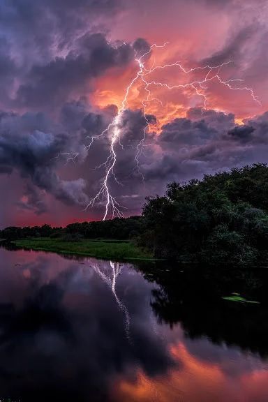 Wild Weather, Charcoal Drawings, Image Nature, Lightning Storm, Natural Phenomena, Beautiful Sky, Sarasota, Amazing Nature, Urban Art