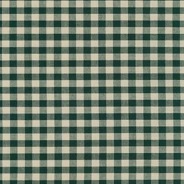 Gingham – Fiddlehead Artisan Supply Forest Fabric, Tencel Denim, Green Gingham, Daughters Shirt, Garment Fabric, Precut Fabric, Gingham Fabric, Fabric Yarn, Robert Kaufman Fabrics