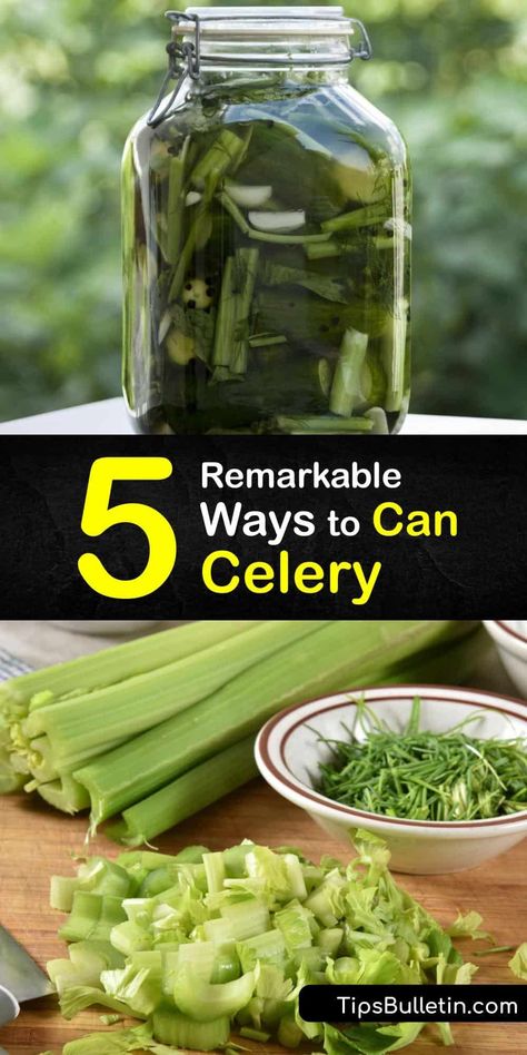 Discover how to can celery rather than dehydrate your veggies to make celery soup and condiments. Slice fresh celery and process them in canning jars in a pressure cooker or a water bath canner. Make cream of celery soup or quick pickles to eat throughout the year. #howto #celery #canning Pickled Celery, Celery Recipes, Healthy Nutrition Plan, Canning Vegetables, Cream Of Celery, Losing 40 Pounds, Cream Of Celery Soup, Celery Soup, Brown Spots Removal