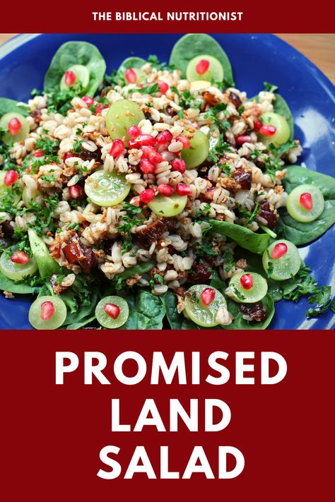 The Biblical Nutritionist Recipes, Bible Food Recipes, God Always Provides, Biblical Food, Biblical Diet, Bible Food, Daniel Fast, Health Shop, Promised Land