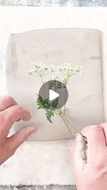 Botanical Monoprinting, Botanical Casting, Cow Parsley, Monoprint, Step By Step Guide, Very Excited, Step Guide, My Website, Parsley