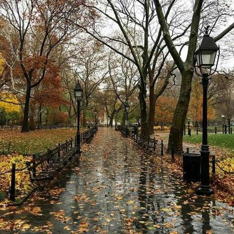 Autumn Village Aesthetic, Greenwich Village Nyc Aesthetic, Fall Village, Autumn Village, Cozy Village, Village Aesthetic, Greenwich Village Nyc, Fall In Nyc, Nyc Fall