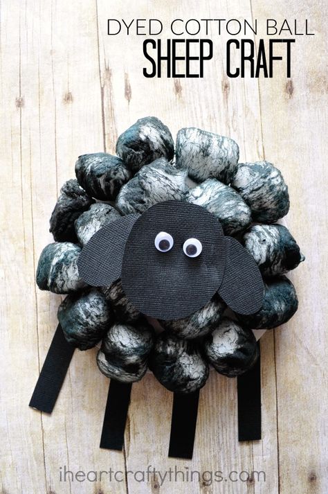 This dyed cotton ball sheep craft is so fluffy and fun and it goes along perfectly with the nursery rhyme Baa, Baa, Black Sheep and as a cute spring or Easter craft for kids. Baa Baa Black Sheep Crafts, Cotton Ball Sheep, March Preschool, Sheep Craft, Nursery Rhyme Crafts, Kids Fathers Day Crafts, Nursery Rhymes Preschool, Nursery Rhymes Activities, Sheep Crafts