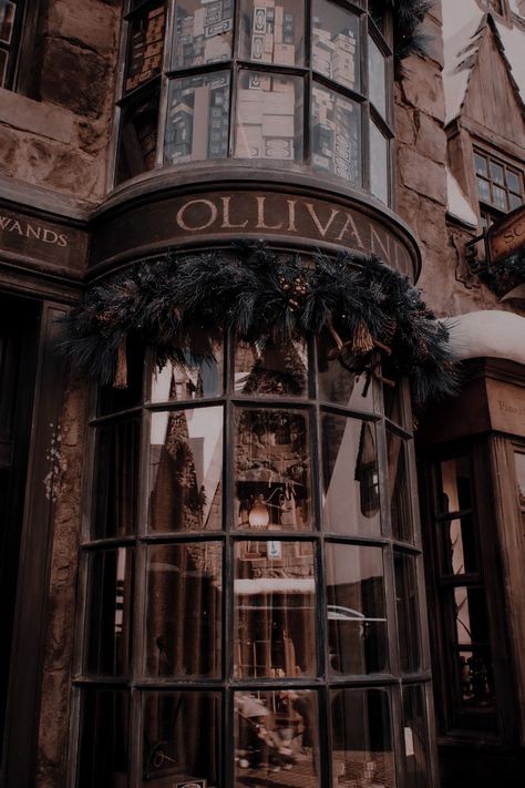 متحف فني, Dark Acadamia, E T, Aesthetic Dark Academia, Library Aesthetic, Images Harry Potter, Hogwarts Aesthetic, Slytherin Aesthetic, Diagon Alley