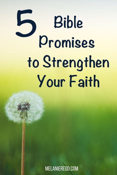 God Give Me Strength, Having Faith In God, Positive Scripture, Having Faith, Beautiful Sayings, Ask God, Bible Verses About Faith, Bible Study Plans, Powerful Scriptures