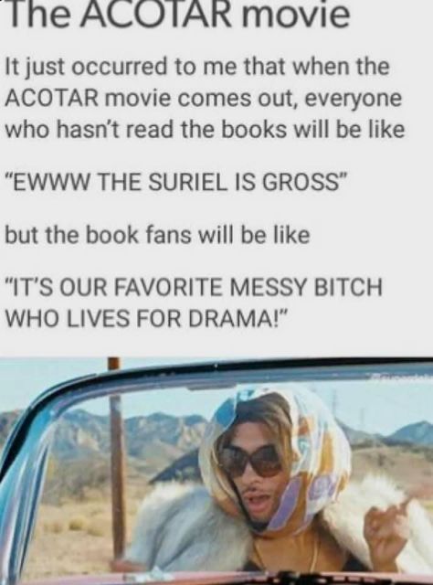 The Suriel Fanart, Funny Acotar, Sjm Memes, Sarah Maas, Acotar Funny, Sara J Maas, Acotar Series, A Court Of Wings And Ruin, Sarah J Maas Books