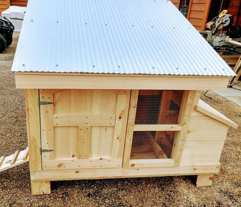 Building Chicken Coop, Inexpensive Patio, Walk In Chicken Run, Joel Salatin, Small Chicken Coops, Easy Chicken Coop, Diy Chicken Coop Plans, Chicken Tractor, Coop Design