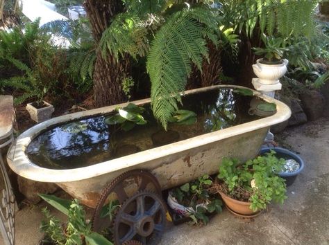 pond Clawfoot Tub Pond, Bath Pond Ideas, Bathtub Fish Pond, Bathtub Pond, Bath Pond, Tub Pond, Garden Bathtub, Old Bathtub, Patio Pond