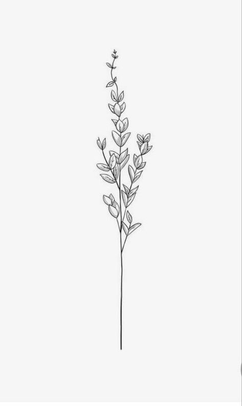 20 Delicate Lavender Sprig Tattoo Ideas – EntertainmentMesh Lavender Tattoo Sketch, Lavender Tattoo Drawing, Simplistic Lavender Tattoo, Lilac Sprigs Tattoo, Lavender Flower Tattoo Design, Drawings Of Lavender, Flower Spine Tattoos With Words, Fun Feminine Tattoos, Lavender Drawing Tattoo