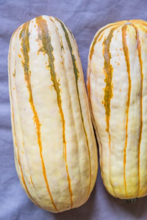 How to Roast Delicata Squash - The Roasted Root Baked Delicata Squash Recipe, Baked Delicata Squash, Roasting Squash, Sweet Potato Pancakes Vegan, Sweet Potato Coconut Curry, Squash Dishes, Delicata Squash Recipe, Curry Soup Recipes, Butternut Recipes