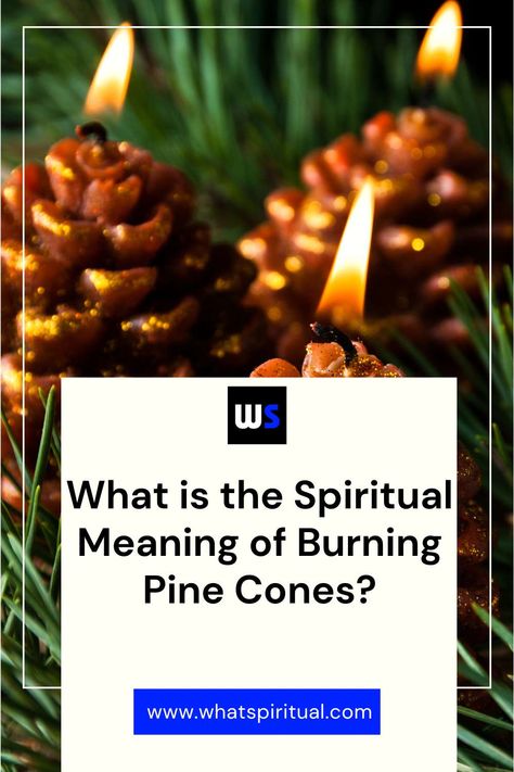 10 Spiritual Meanings of Burning Pine Cones & Benefits 2 Higher State Of Consciousness, Psychological Effects, Spiritual Protection, Spiritual Meaning, Meditation Practices, Spiritual Practices, Sacred Space, Spiritual Journey, Spiritual Awakening