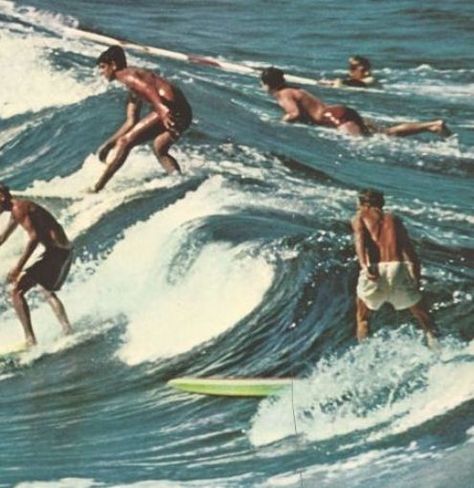 australia vintage beach retro ocean 1960s surfing 60s surfers surfers paradise #BeachPhotosparadise Surfing Vintage, Retro Ocean, Surfer Aesthetic, Photowall Ideas, Ocean Paradise, Vintage Surfing, Australia Vintage, Beach Retro, Surf Aesthetic