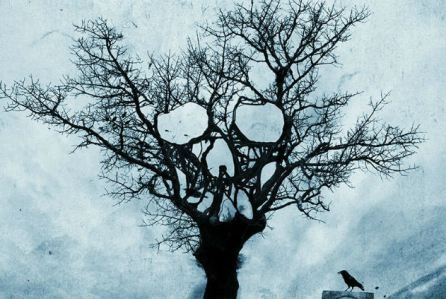 Tales of Halloween horror anthology coming next Halloween with 11 hot directors Halloween Cast, Max Dennison, Tattoo Stars, Tales Of Halloween, Skulls Flowers, Movie Directors, Gothic Design, Rocky Horror Picture Show, Rocky Horror Picture