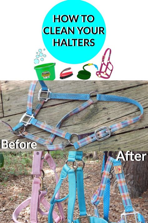 A quick and easy way to clean your horses halters  #horses #tack #cleaning… Tack Cleaning, Horses Tack, Barn Hacks, Horse Care Tips, Cleaning Painted Walls, Horse Halter, Horse Info, Deep Cleaning Tips, Horse Tips