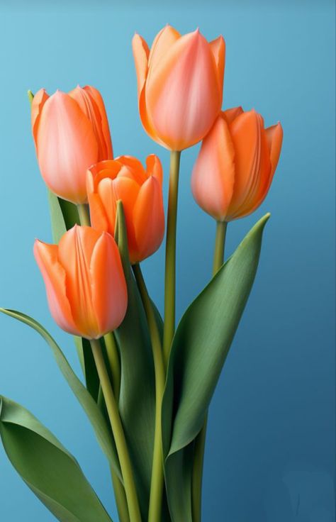 Tulips 🌷wallpaper 🌷 Tulips Wallpaper, Flower Identification, Nature Projects, Fleur Orange, Tulips Art, Orange Tulips, Flowers Orange, Tulips In Vase, Beautiful Wallpaper For Phone