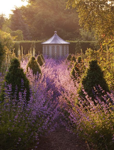 Wollerton Old Hall, Twilight Garden, Victorian Gardens, Victorian Garden, Lavender Garden, Pastel Decor, Garden Architecture, Garden Pictures, Garden Photography