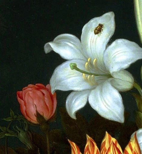 Ambrosius Bosschaert the Elder - A Still Life of Flowers in a Wan-Li Vase (detail) Ambrosius Bosschaert, Flemish Art, Dark Florals, Flower Paintings, Still Life Art, Classical Art, Dark Floral, Irises, Lily Flower