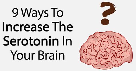 Are you low on serotonin? As you may already know, serotonin is an important neurotransmitter that sends messages from one area of your brain to another. Serotonin Boosters, Increase Serotonin, Positive Books, Healthy Holistic Living, Insomnia Causes, Transcendental Meditation, Instant Gratification, Western Medicine, Low Mood