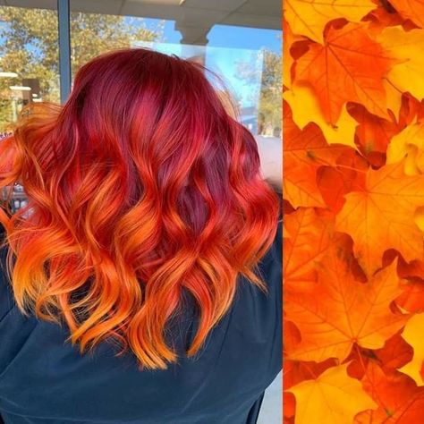 Vivid Fall Hair Color Ideas, Fall Leaves Hair Color, Short Fire Hair, Vivid Fall Hair Color, Hair Color Shorthair, Sunset Balayage Hair, Red To Orange Ombre Hair, Fire Orange Hair, Copper And Pink Hair