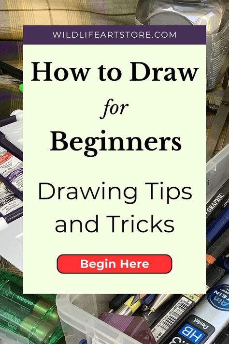 How to Draw For Beginners: Drawing Tips and Tricks Drawing Basic Shapes, Learn To Draw For Beginners, Drawing Tips And Tricks, Fundamentals Of Drawing, Easy Sketches For Beginners, Step By Step Sketches, How To Draw Anything, Drawing Basics, Beginners Drawing