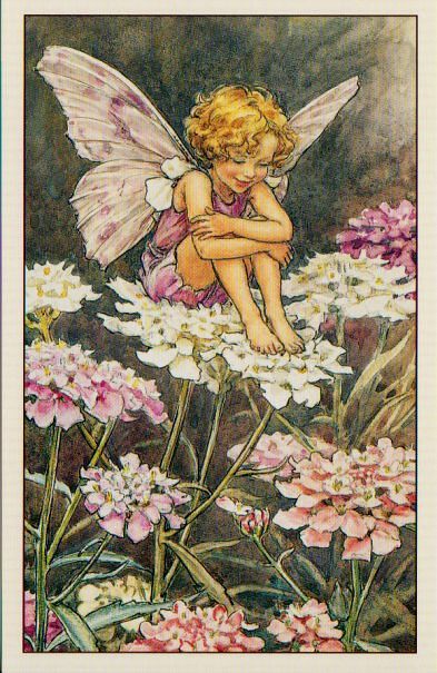 Flower Fairies of the Garden, The Candytuft Fairy | mint_candy | Flickr Candy Tuft, Fairy Illustration, Fairy Pictures, Fairy Artwork, Cicely Mary Barker, Fairies Elves, Vintage Fairies, Fairy Magic, Flower Fairies