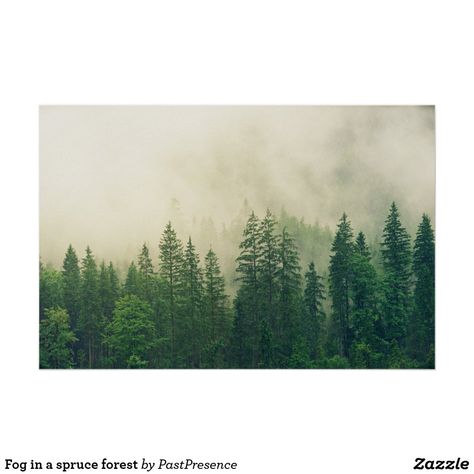 Fog in a spruce forest poster Wall Mural Forest, Interior Murals, Wood Company, Mural Wall, Green Rooms, Wood Canvas, Photo On Wood, Photography Wall, Metal Art Prints