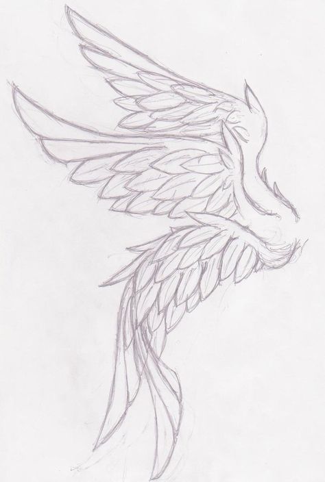 Angel Wings Drawing, Wings Drawing, Wings Art, 캐릭터 드로잉, Wings Tattoo, Concept Art Drawing, Art Tutorials Drawing, Cool Art Drawings, Sketchbook Art Inspiration